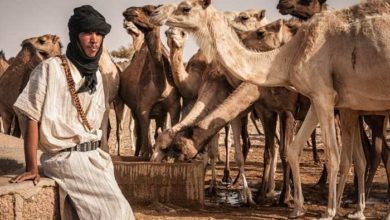 صورة موريتانيا تدعم المنمين الصغار بـ900 مليون أوقية قديمة