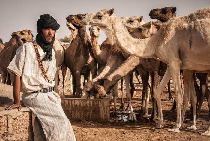صورة موريتانيا تدعم المنمين الصغار بـ900 مليون أوقية قديمة